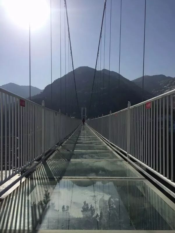 青岛茶山风景区门票可选购玻璃天桥 (大门票提前1天预订/含玻璃桥提前
