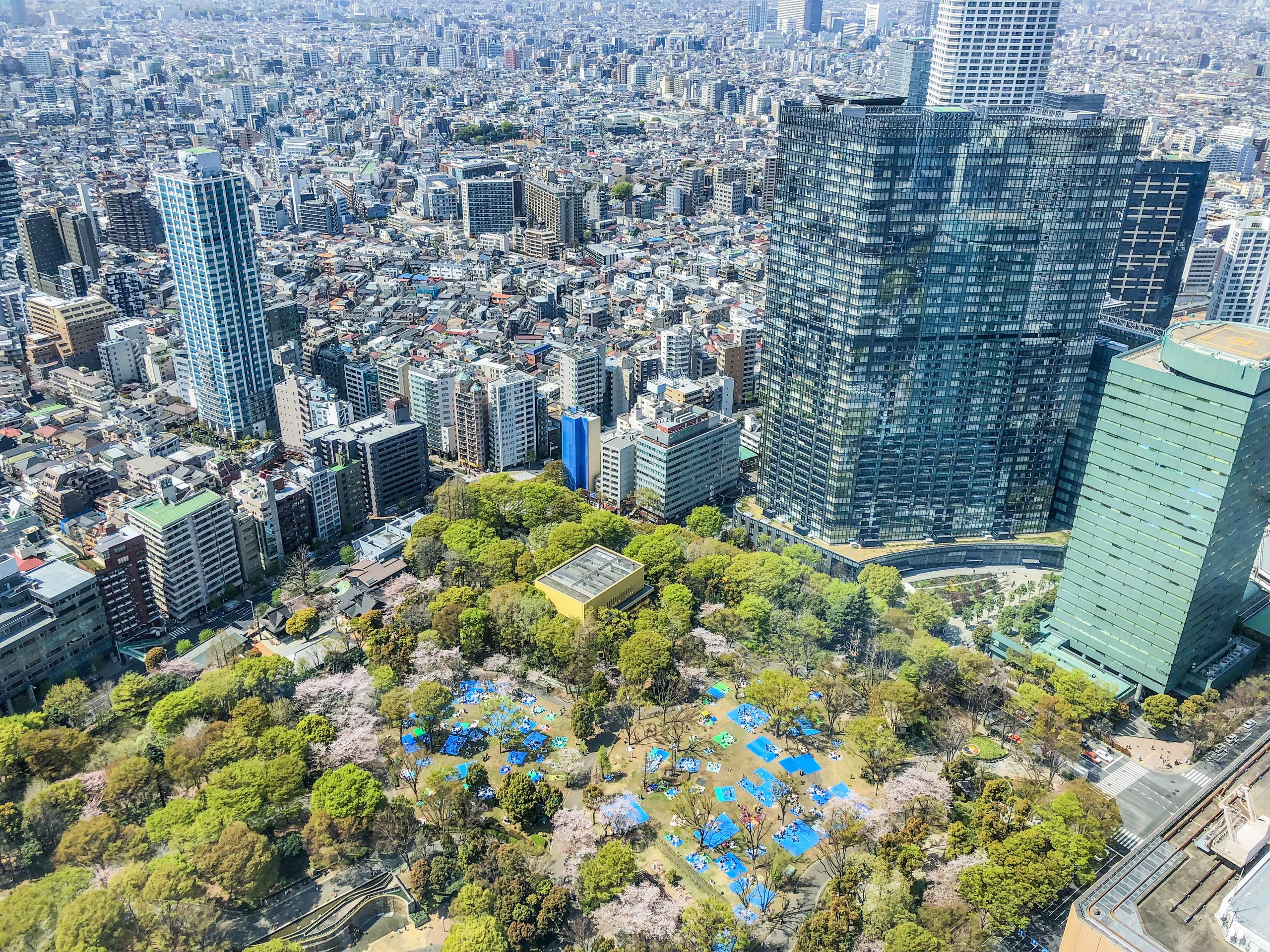 东京都厅观景台