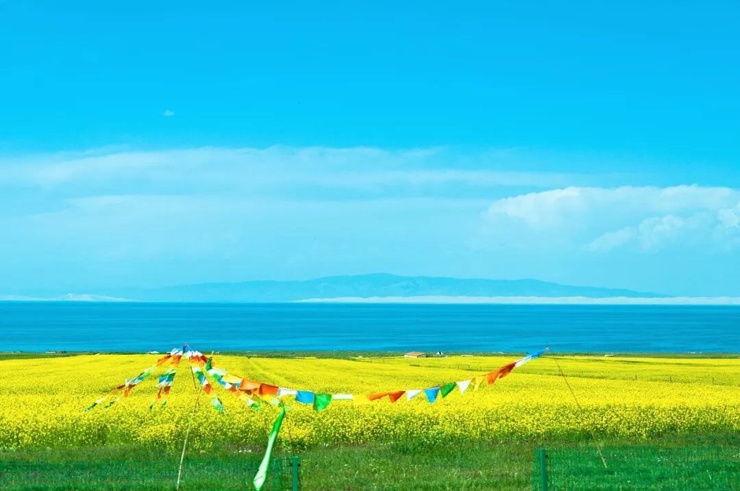 五月份的青海湖比你想象中的更美