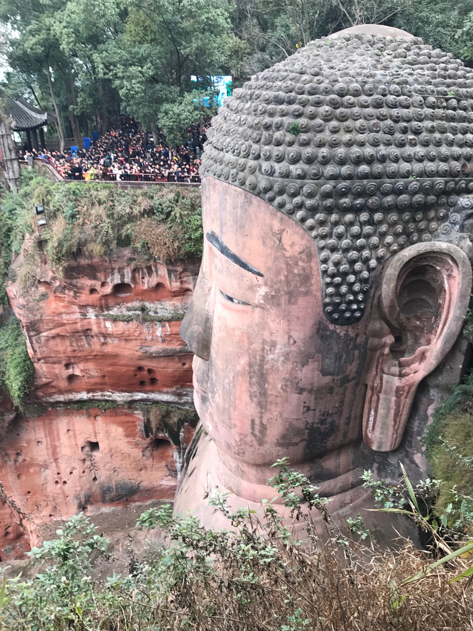 四川省旅游 乐山旅游攻略 乐山大佛-峨眉山之旅            本来是