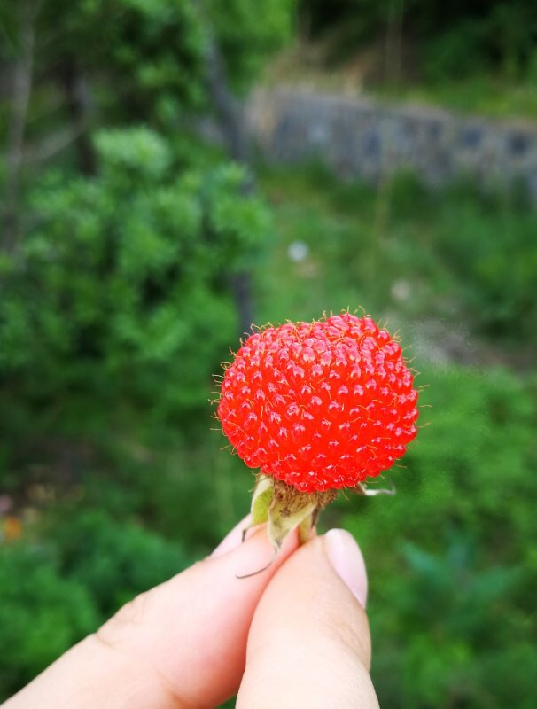 天幕怎么搭_怎么画动漫人物(3)