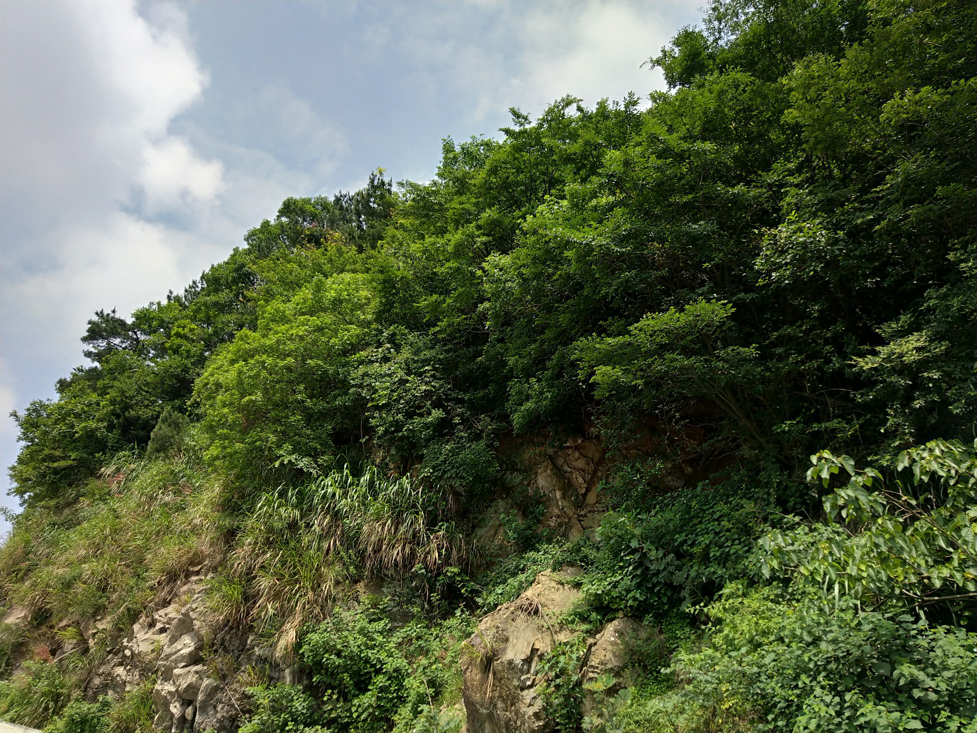 武穴横岗山森林公园一日游