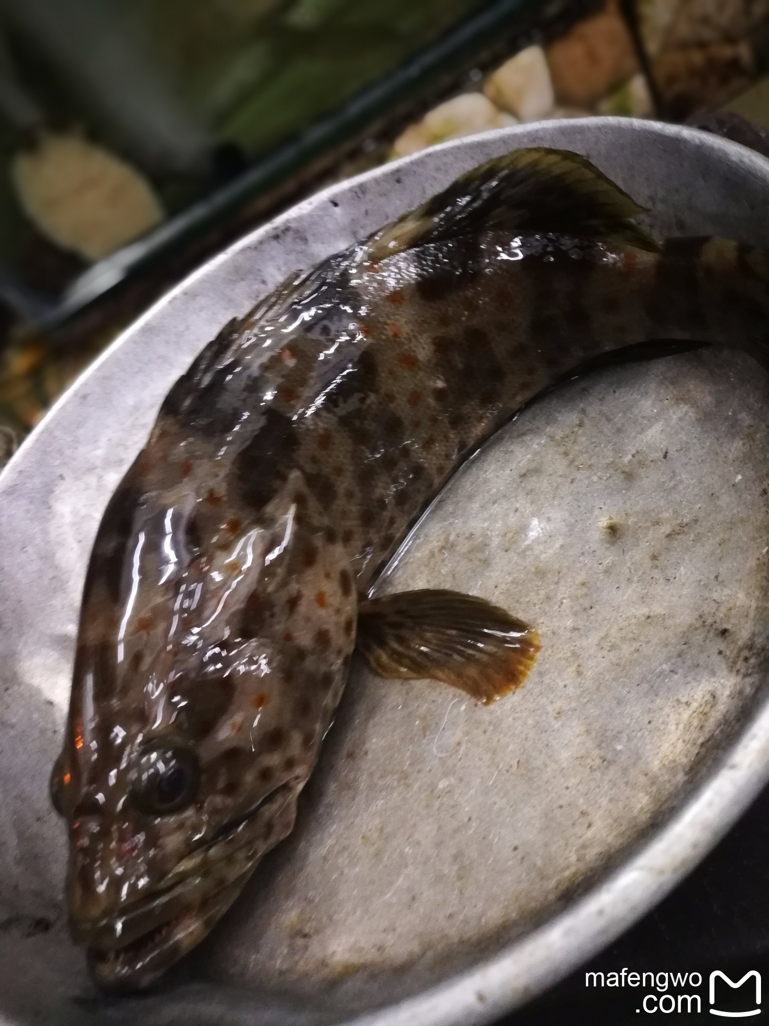 费用明细 物品清单 特别提示 day1:深圳-香港-亚庇-斗湖-仙本那