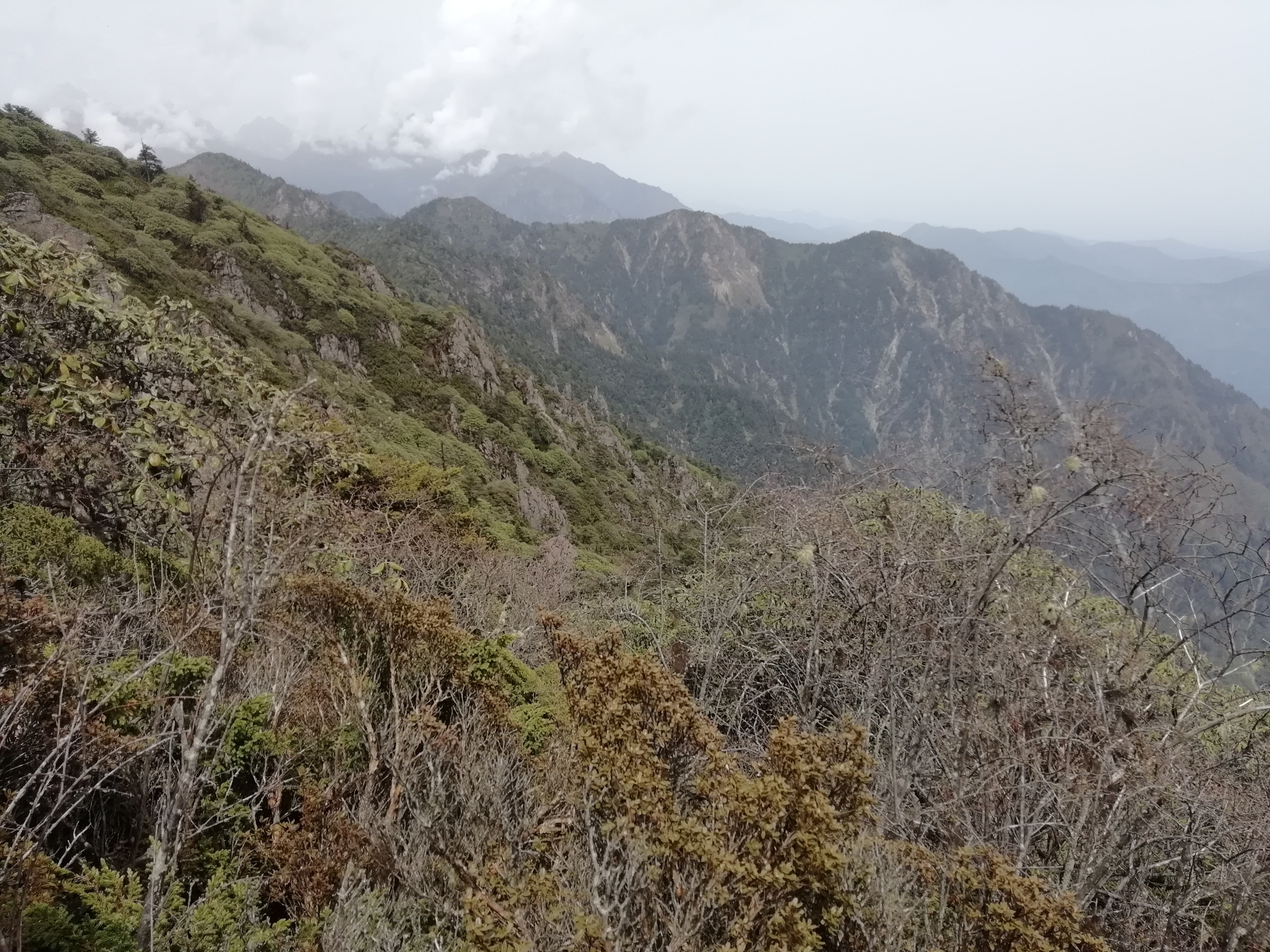 wKgBEFr34biAQ_BOABeG5WTQgvE60.jpeg?imageView2%2F2%2Fw%2F600%2Fh%2F600%2Fq%2F90