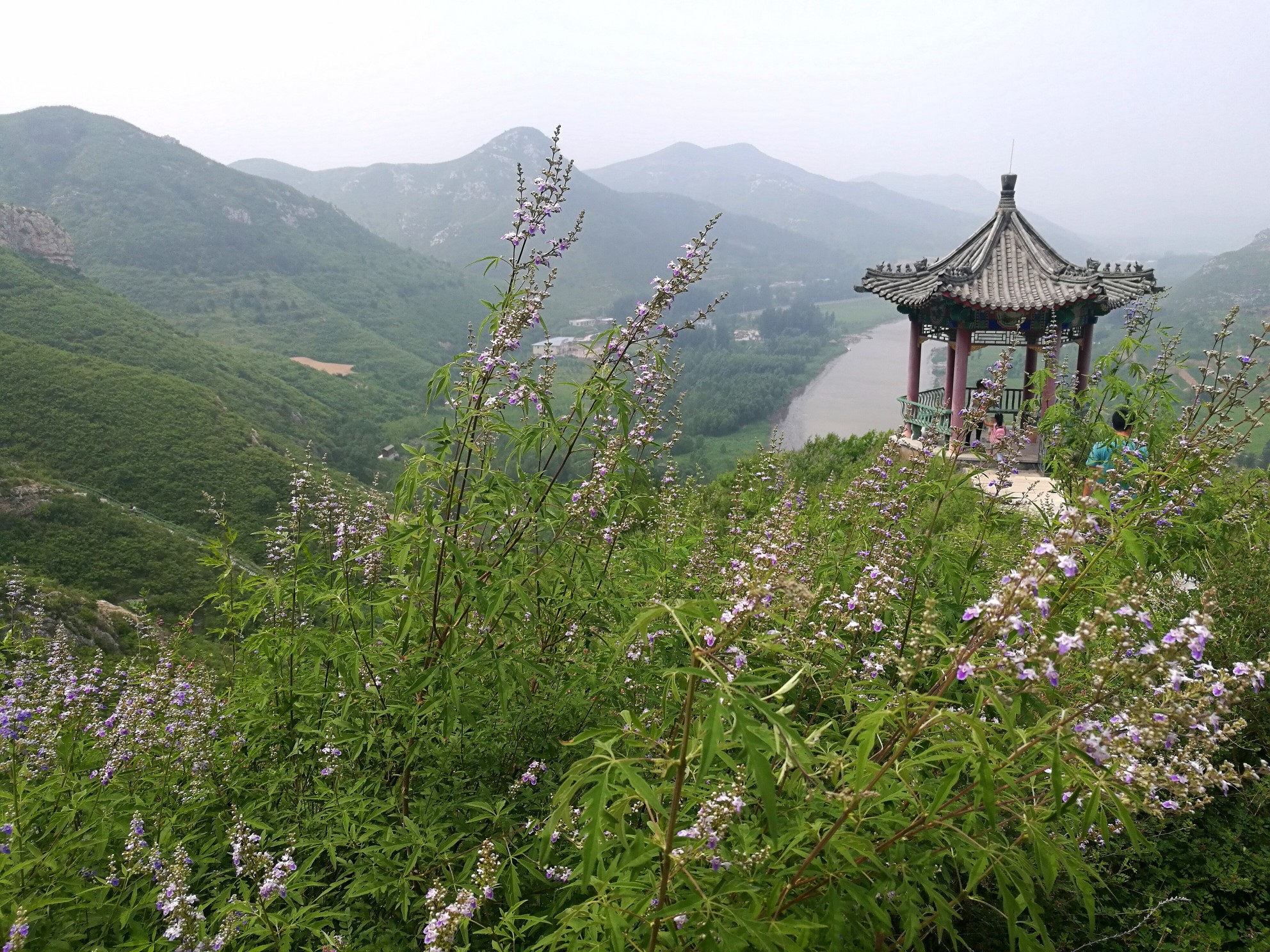 景点 浴龙谷温泉度假村 天成观 大梁下村 天龙源风景区 东山嘴遗址