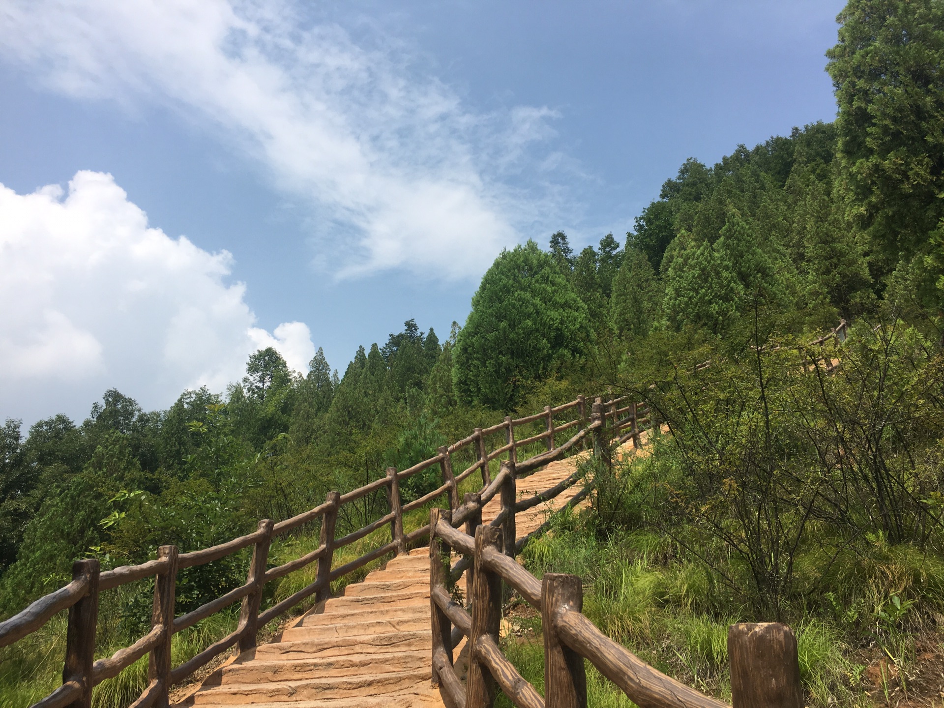 陕西省宝鸡市陈仓区九龙山-大水川两日游