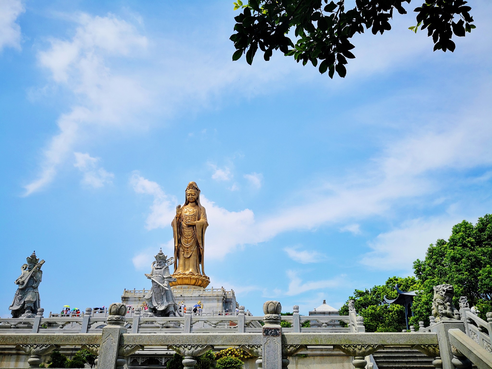 一天时间可以拜完普陀山三大寺庙和洛迦山并且