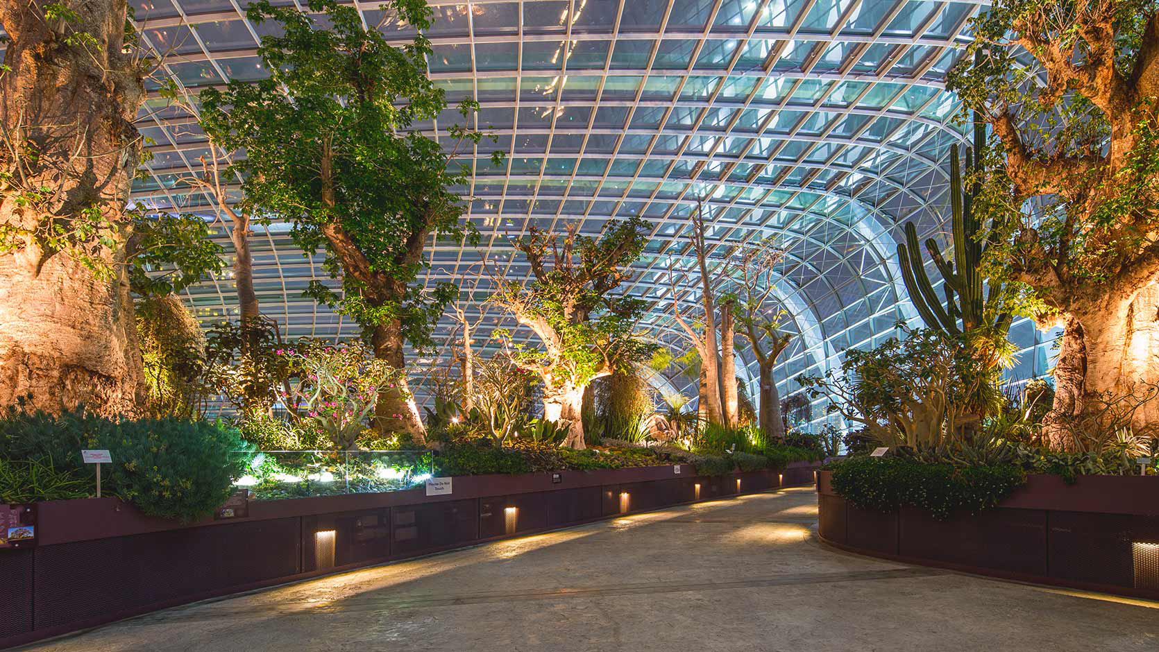 (world of plants),里头的主题花园包括树木的秘密生活 (secret life