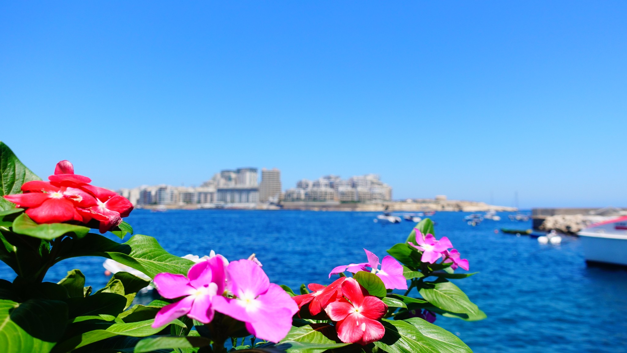 地中海的心脏，马耳他（简攻略版）,马耳他自助