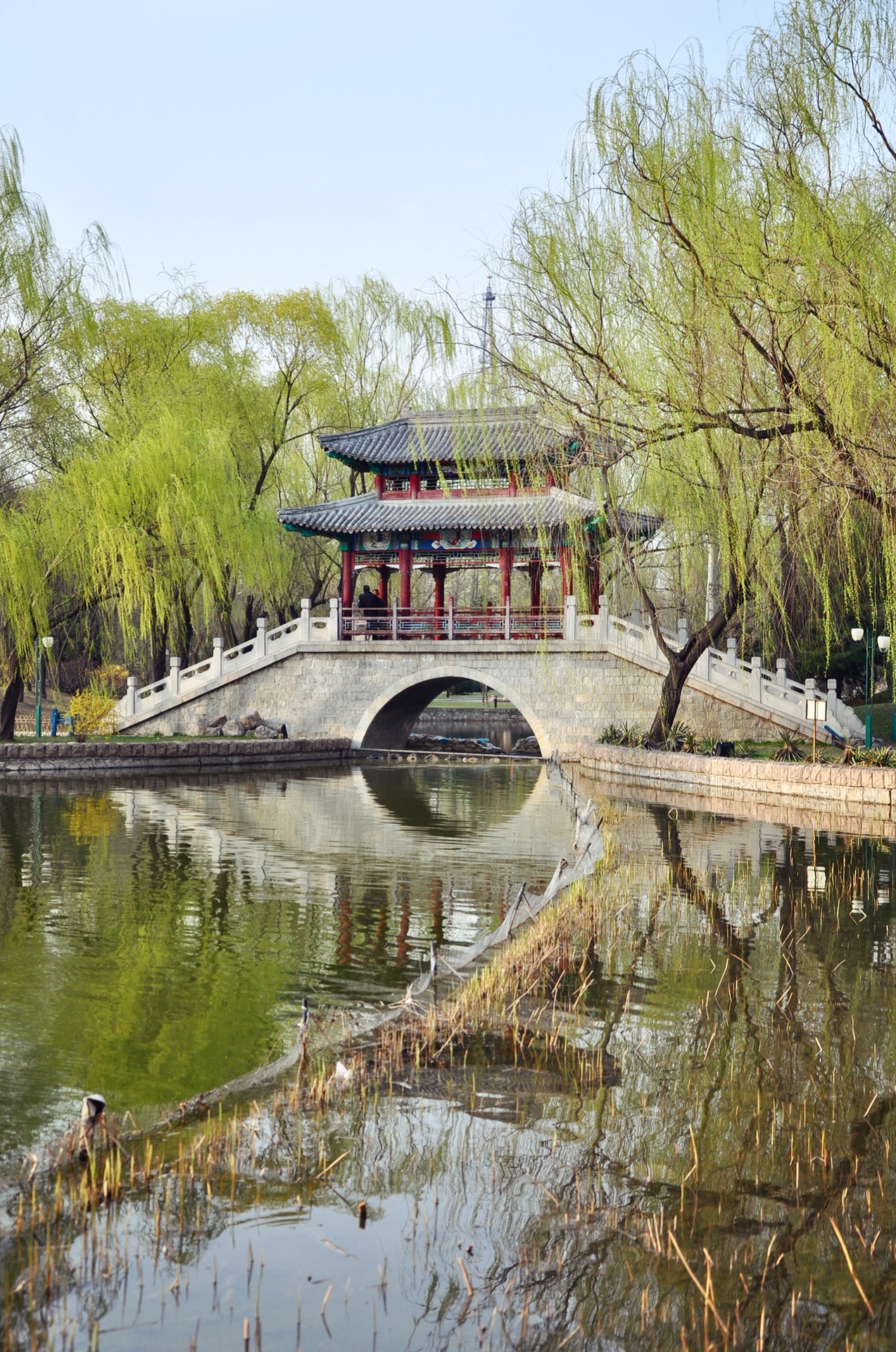 不是北京的繁花古楼这里是我的记忆顺义人民公园