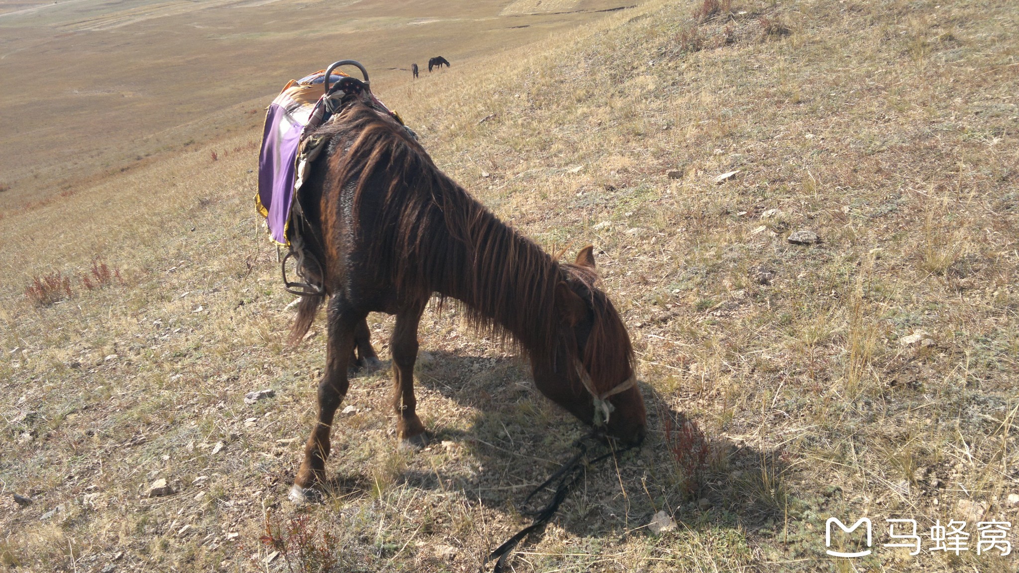 姓马的排名_姓马的微信头像图片(2)