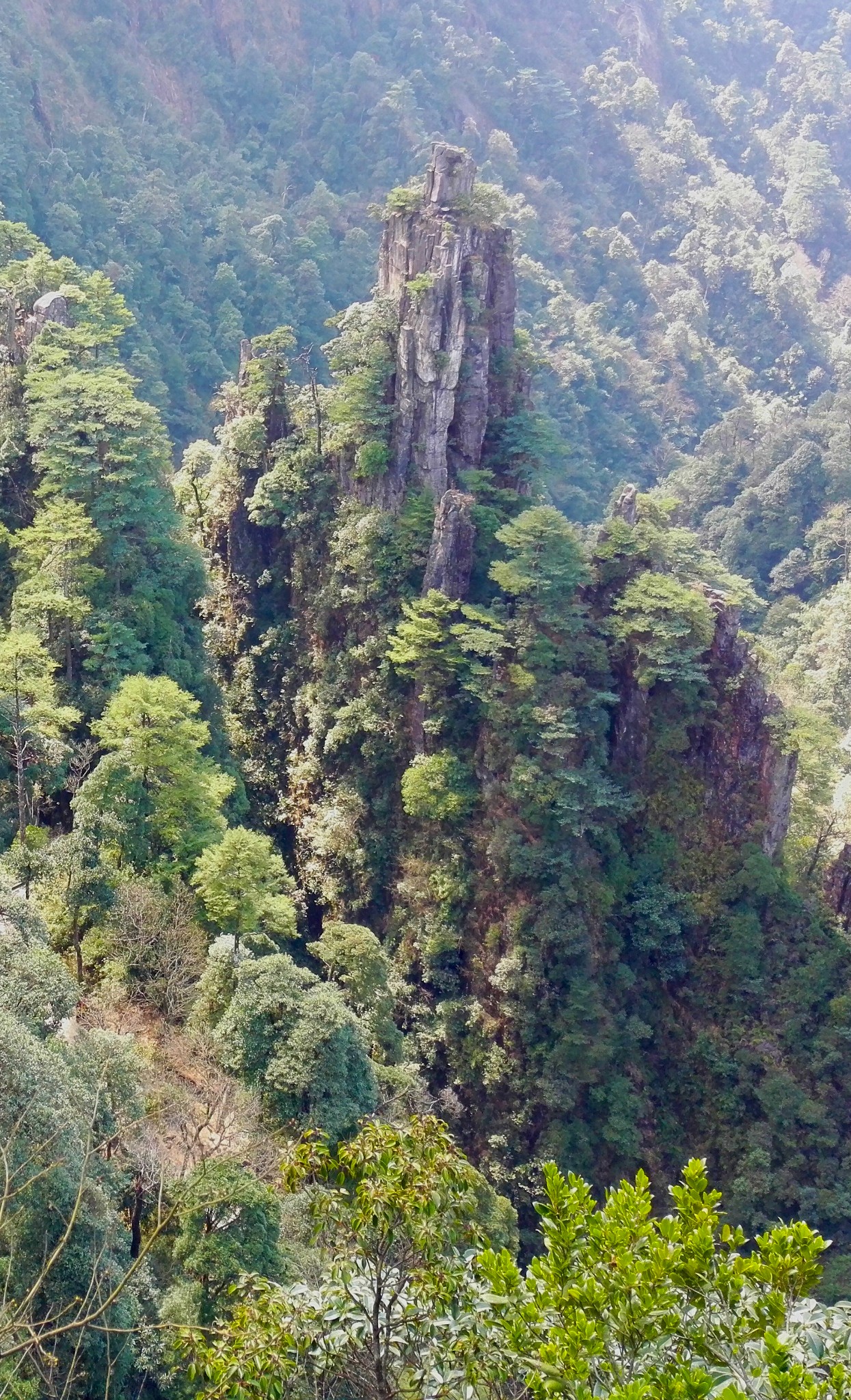 莽山 · 鬼子寨 高椅岭 小唠嗑