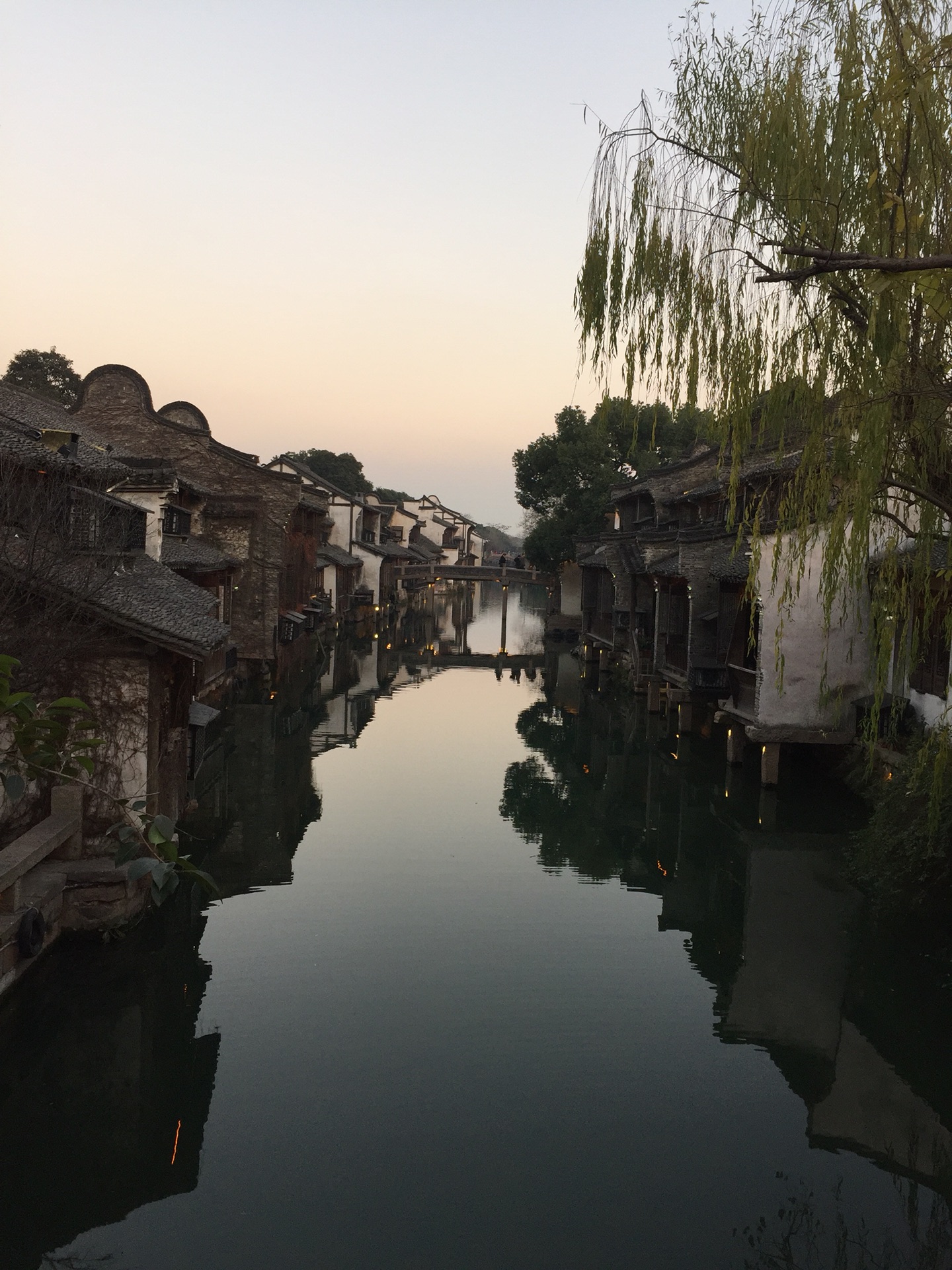 新白鹿人均_白鹿性感