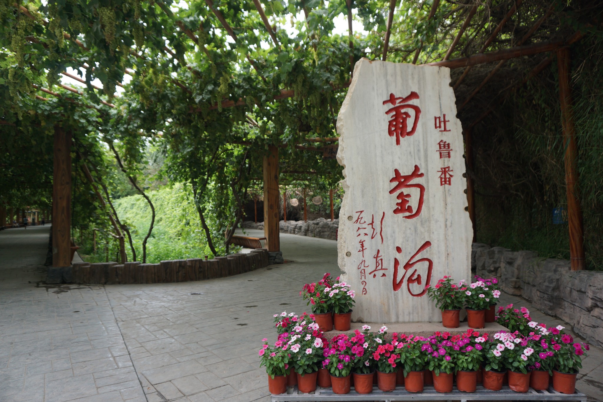 吐鲁番葡萄沟风景区