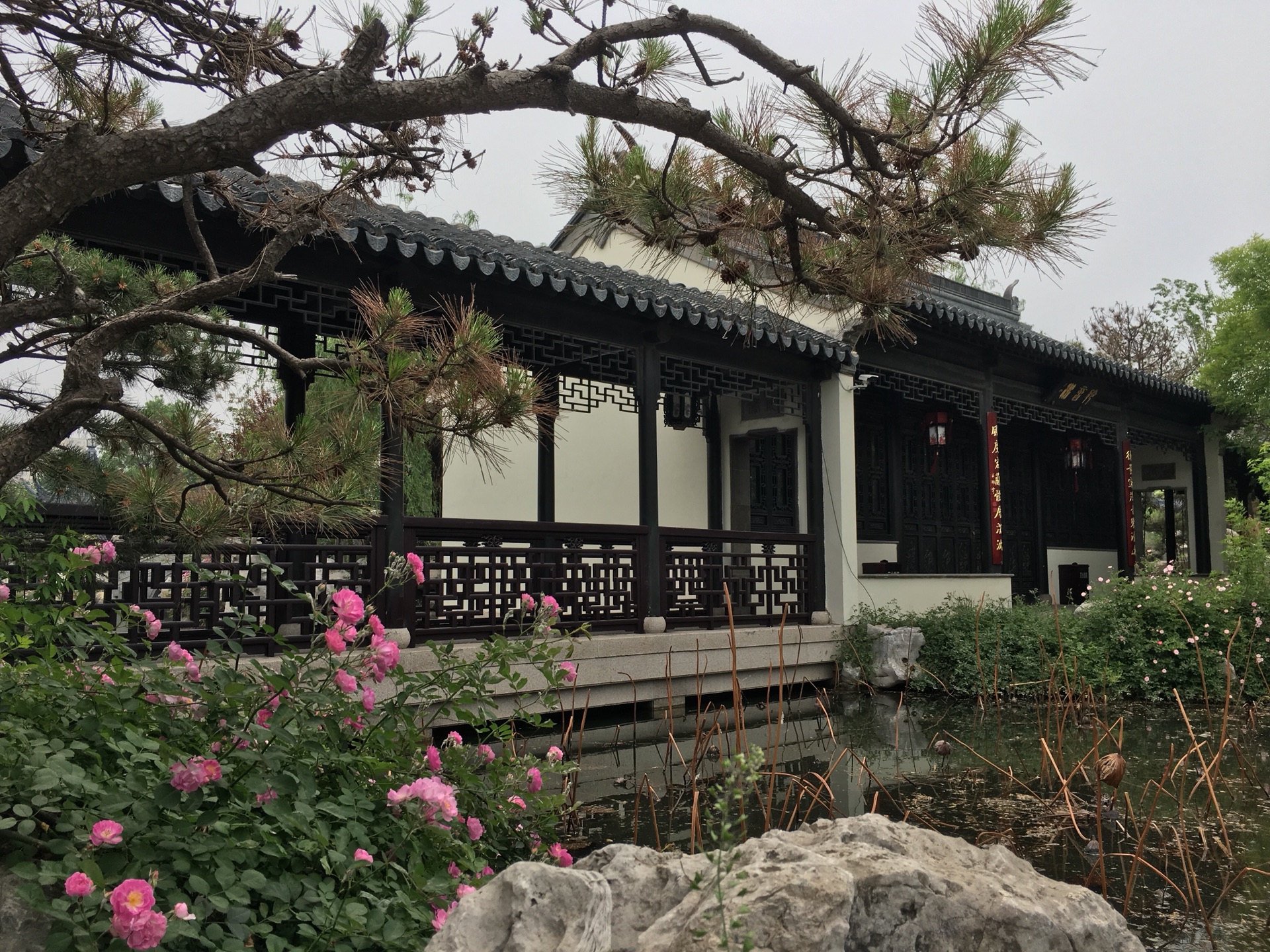 山东 临清宛园 游记
