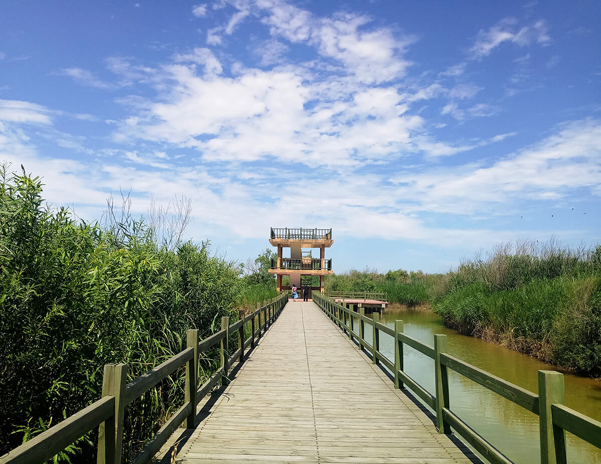 东营有多少人口_山东东营一家四口为什么惨遭灭门始末,一家四口灭门惨案现场(2)