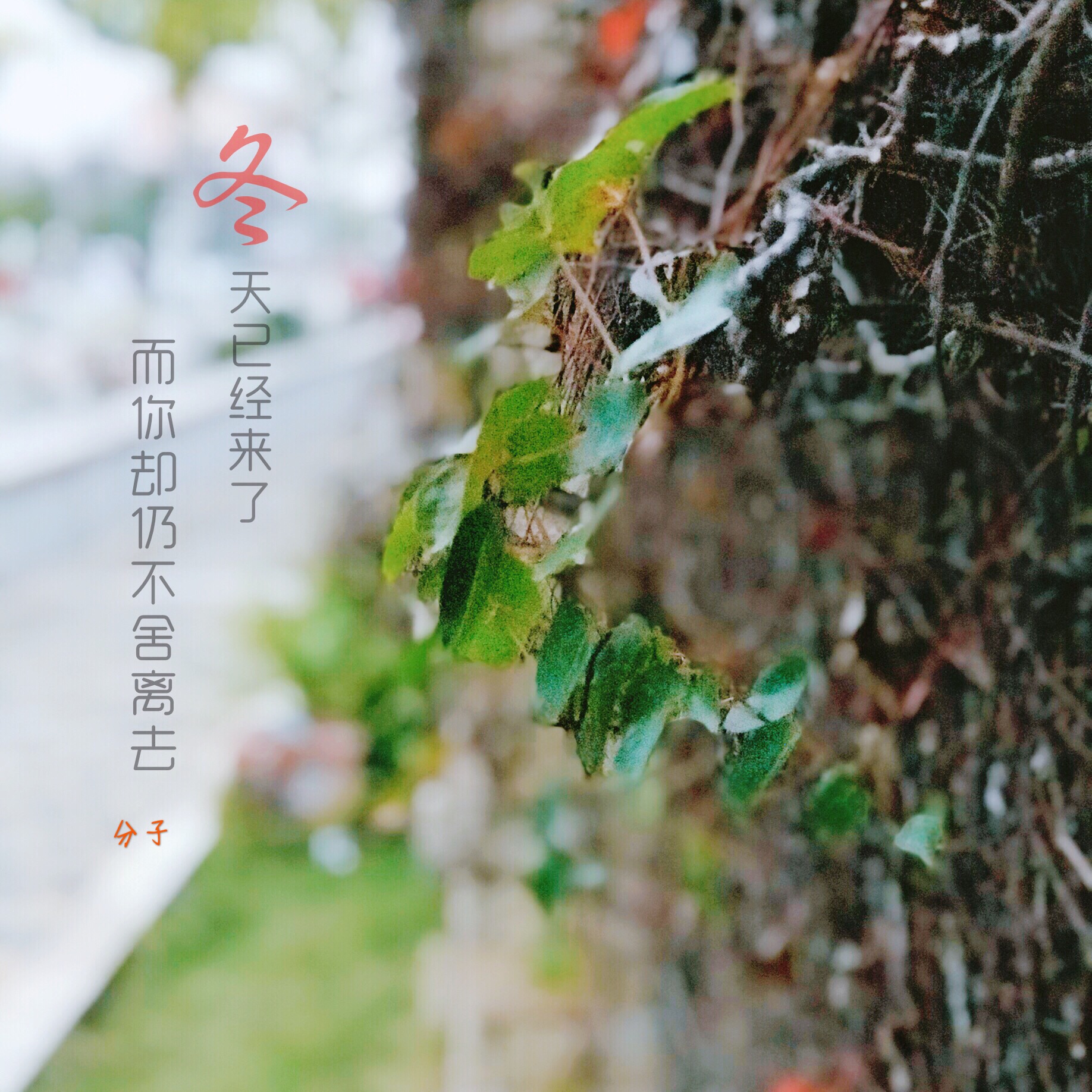 走遍中国之福建篇：漳州云霄休闲2日游（2017，2018年）_游记