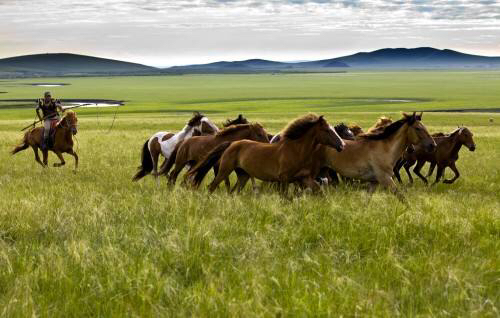 呼伦贝尔一般什么时候去最好