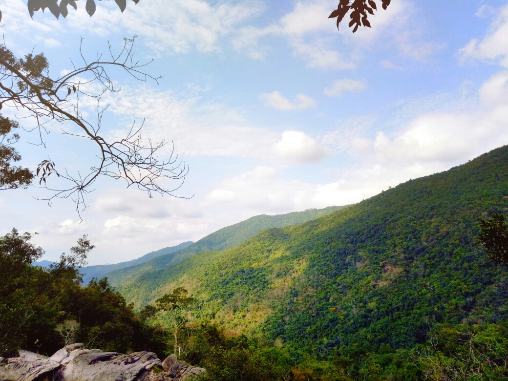 昌江霸王岭