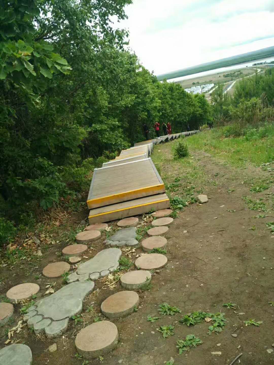美丽的东山森林公园
