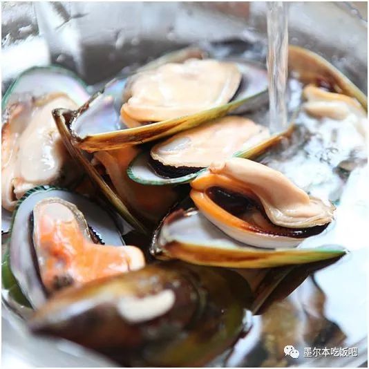 青口(mussel)