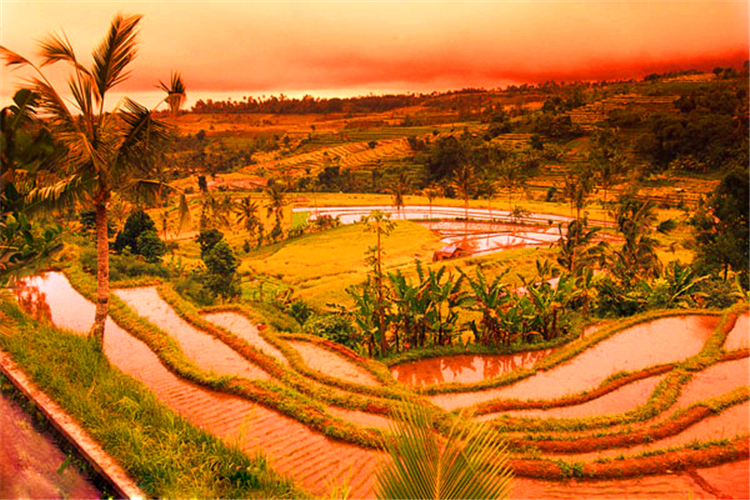 尤溪县GDP_闽中明珠正璀璨 新中国成立70周年尤溪县经济社会发展成就综述(3)