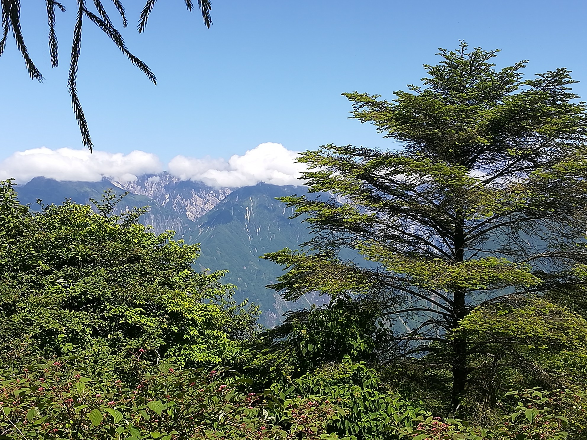 wKgBEFsd_MqAU20qABHUJWhsuCE18.jpeg?imageView2%2F2%2Fw%2F600%2Fh%2F600%2Fq%2F90