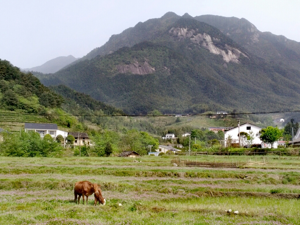 白寺村,平江旅游攻略 马蜂窝