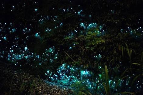 萤火虫为什么不能智驾 wKgBEFs22AuAMqWPAAC5JuGjfHo31.jpeg?imageView2%2F2%2Fw%2F600%2Fh%2F600%2Fq%2F90