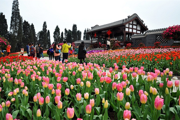 花舞人间景区大门票