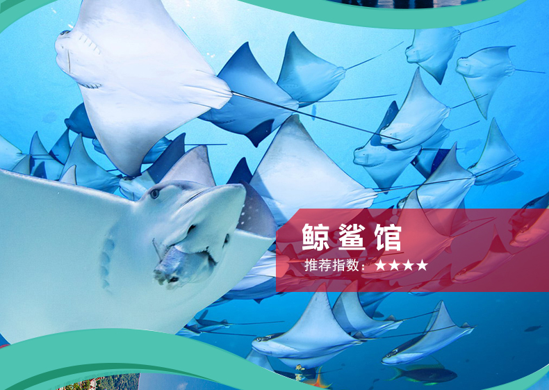 珠海长隆海洋王国成人票家庭票套票海洋王国\/