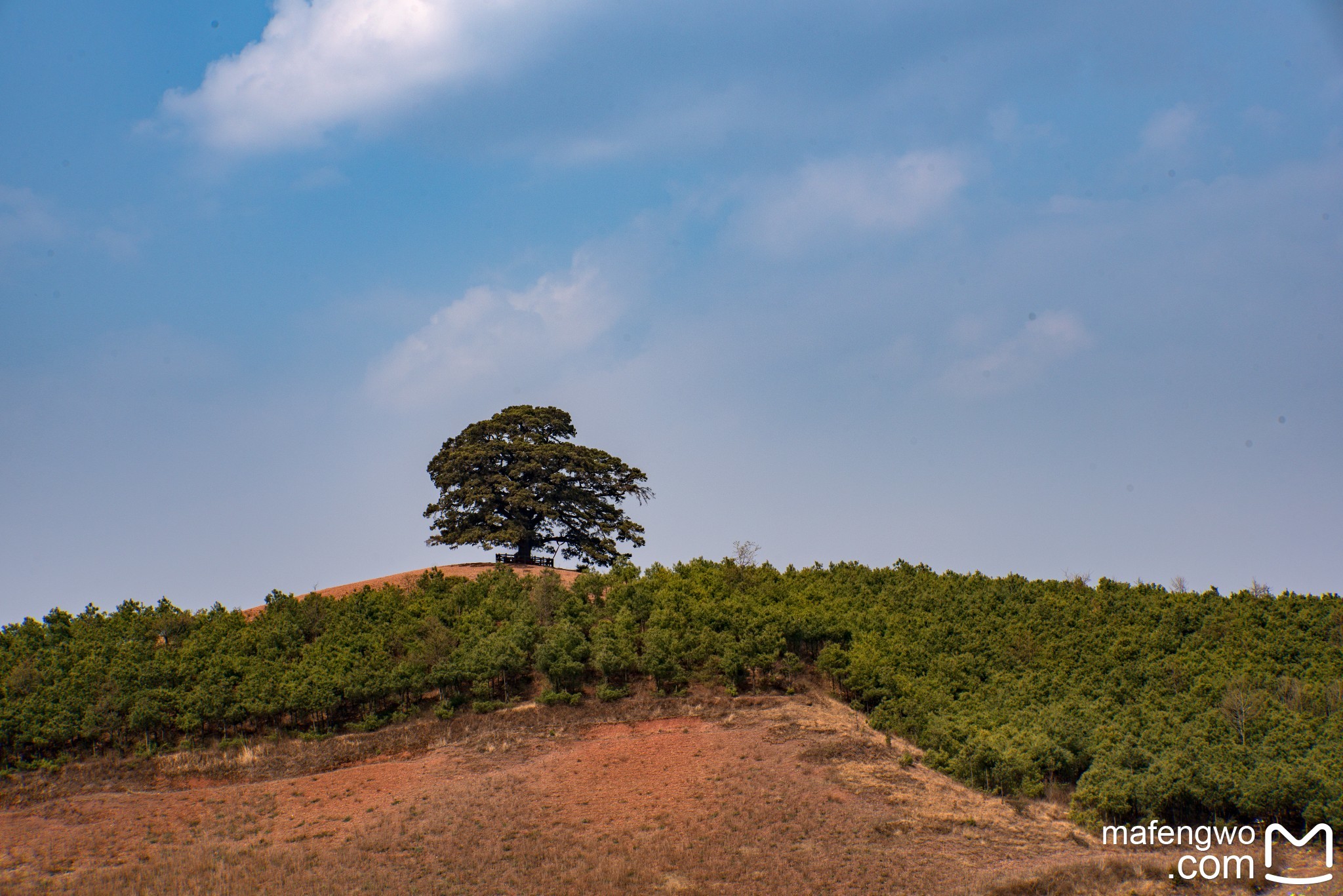 彩云之南,昆明以北—东川红土地两日行记