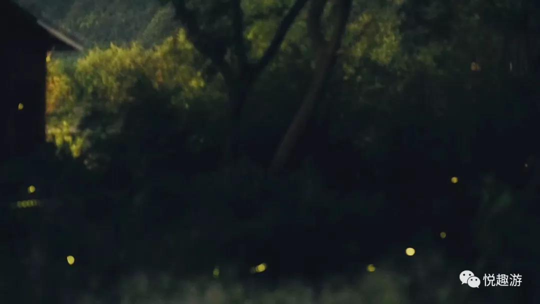 wKgBEFsrTwuAaO_dAABuJK8JlFg29.jpeg?imageView2%2F2%2Fw%2F600%2Fh%2F600%2Fq%2F90