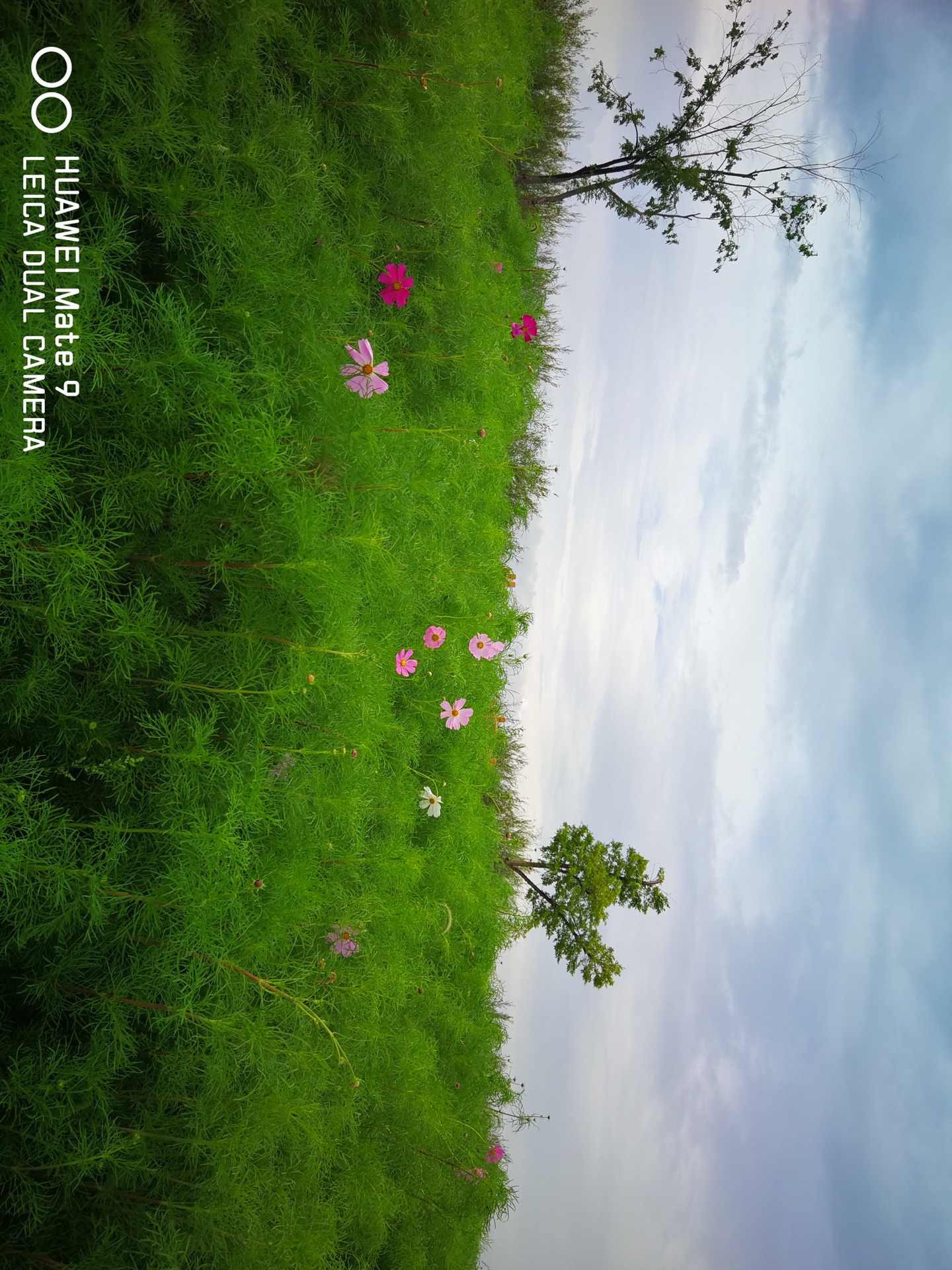 wKgBEFtox66AVv0yAAyFZ12Bzw463.jpeg?imageView2%2F2%2Fw%2F600%2Fh%2F600%2Fq%2F90