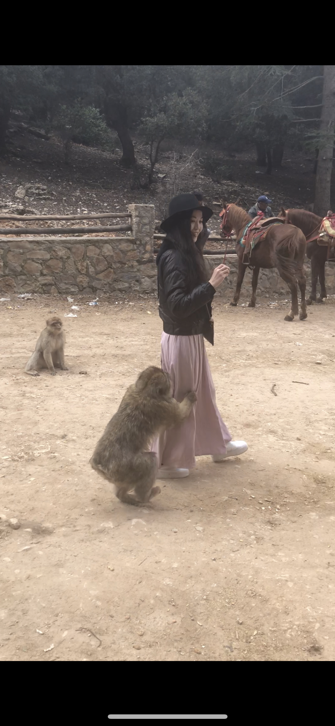 打算8月初去摩洛哥，不知天气能热到什么程度