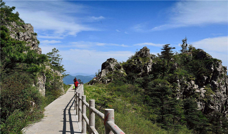 立即生效 快速入园 可订上行索道票/牛背梁森林公园门票/牛背梁景区