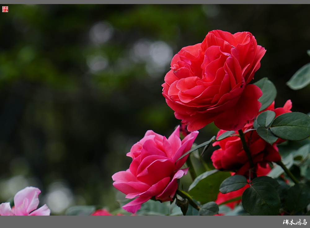 wKgBEFsKBAmAQrCAAAcvJClqBbU99.jpeg?imageView2%2F2%2Fw%2F680%2Fq%2F90