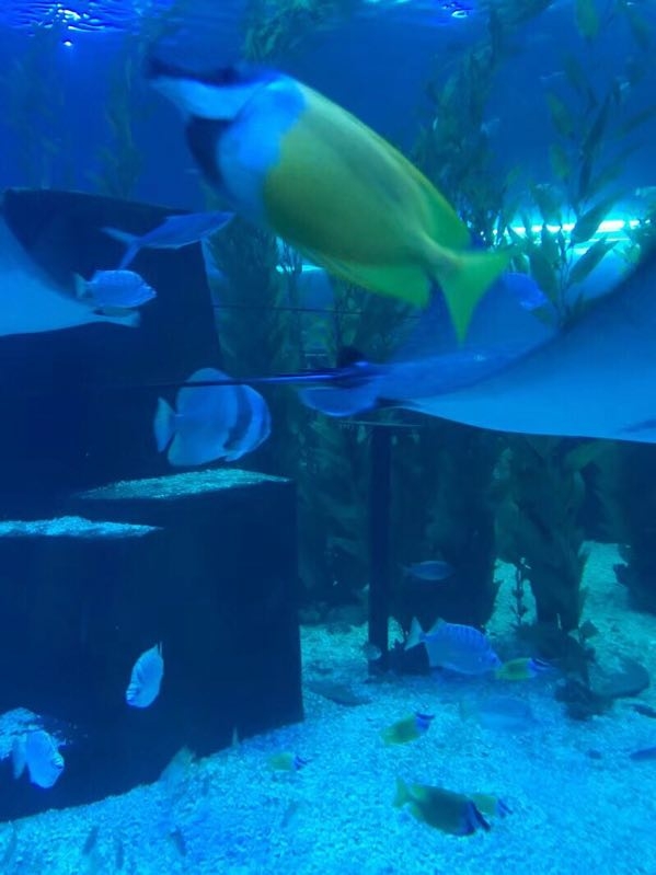 抚顺海洋馆