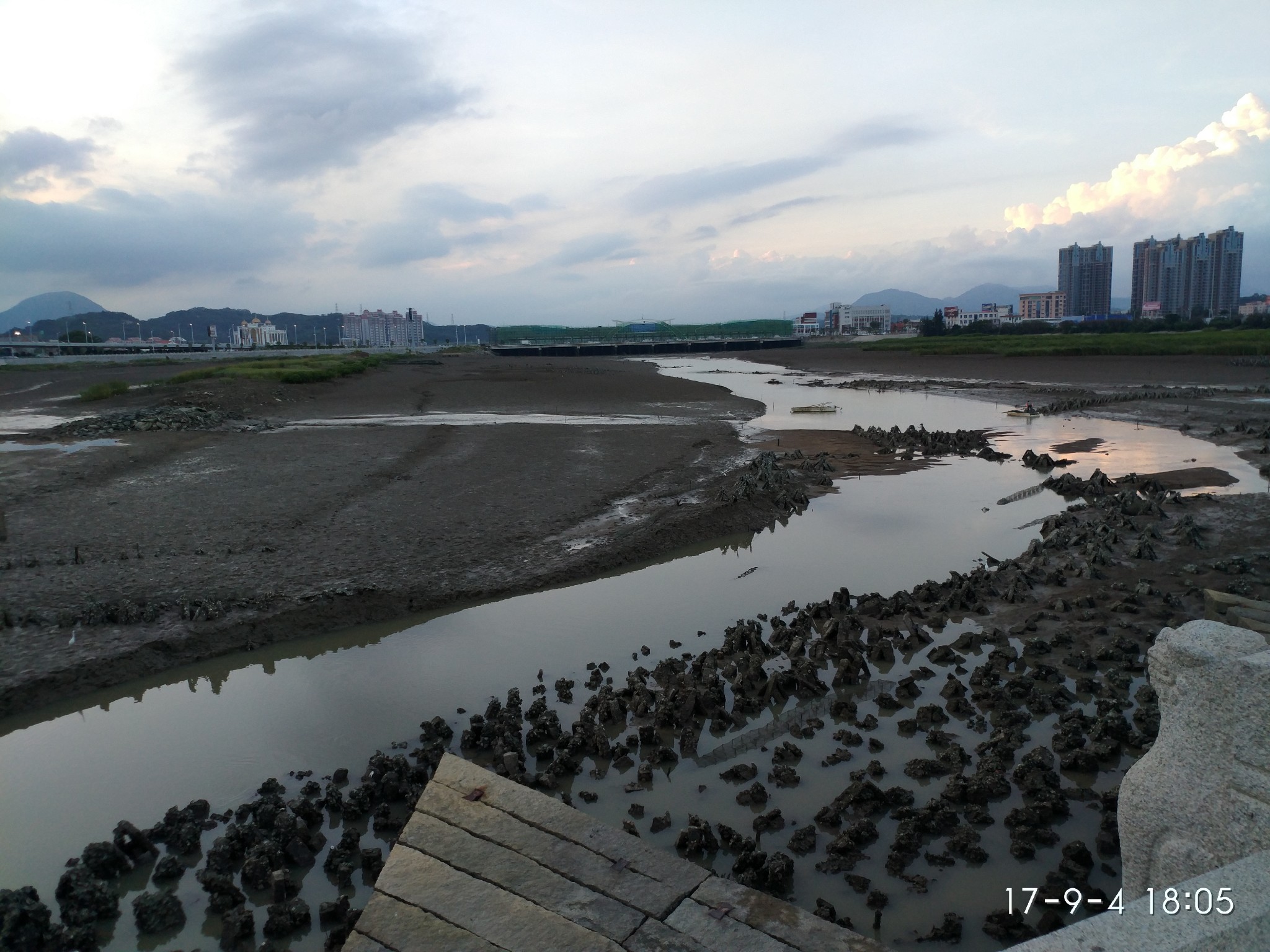 阳江市有多少人口_阳江市人民医院图片(3)