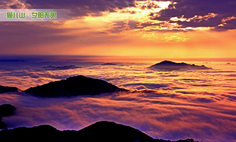 猫儿山云峰阁度假山庄酒店·山顶住宿1晚含猫儿山门票