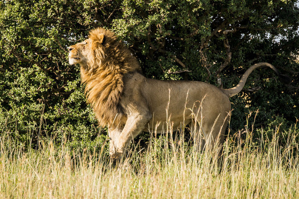 肯尼亚十月份什么天气