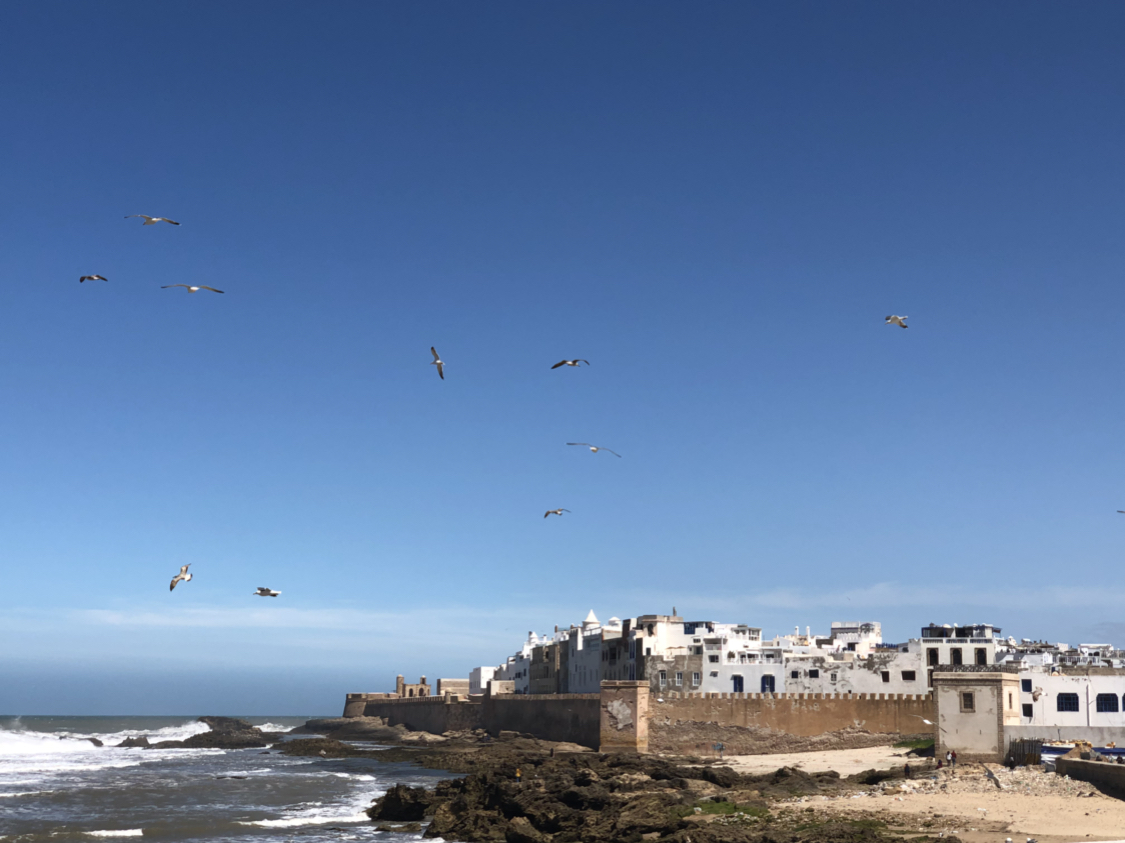打算8月初去摩洛哥，不知天气能热到什么程度