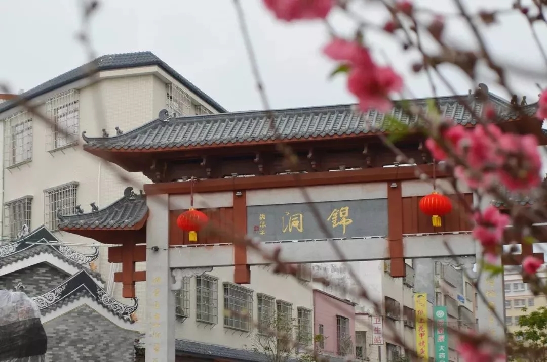 桃花——从化锦洞桃花小镇