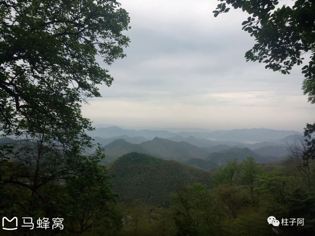 忆江南 — 莫干山游记