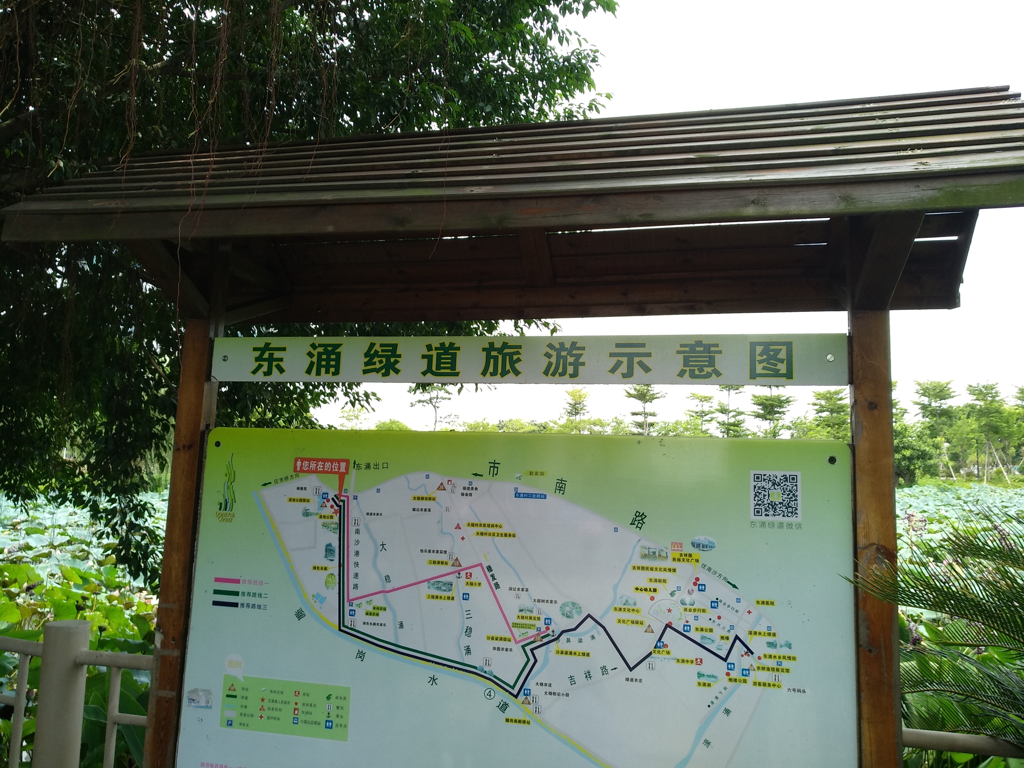 大稳村绿道半日游图片12,南沙区旅游景点,风景名胜