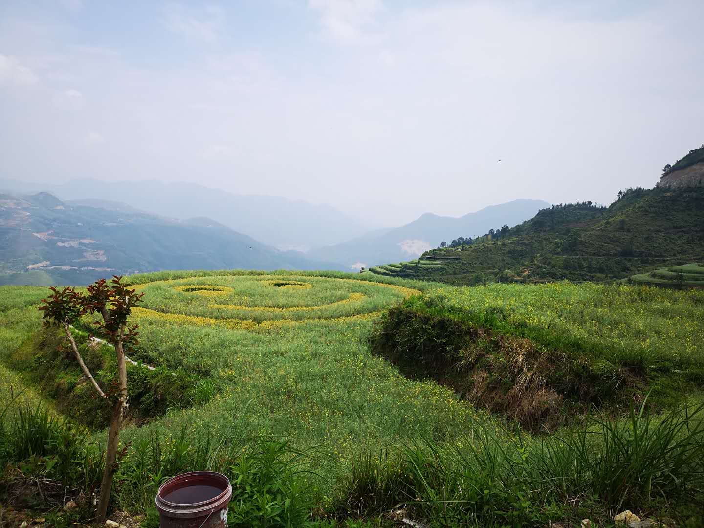丽水青山-青田小舟山