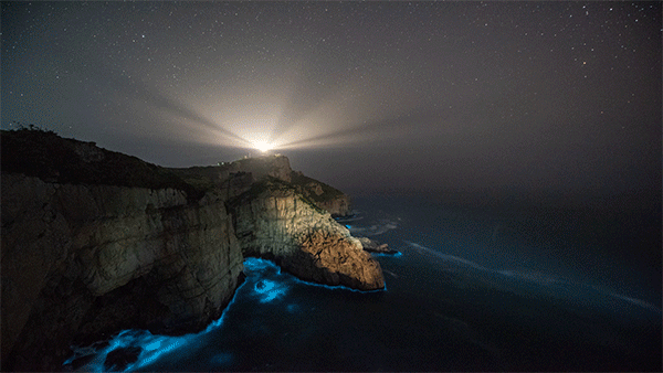 渔山岛的蓝眼泪,给你一个年少的梦