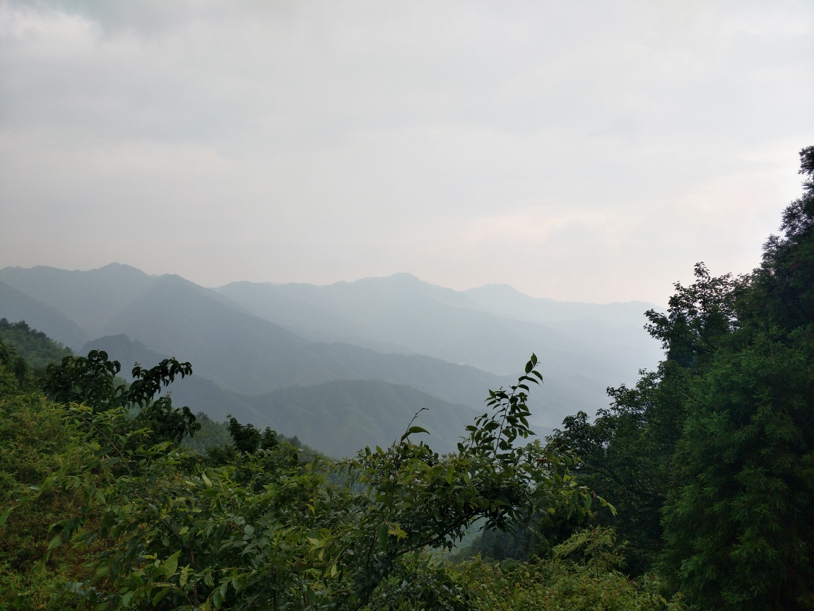 井冈山有多少人口_庐山 井冈山双高6日游 衢州高铁往返 贴心接送站 酒店升级