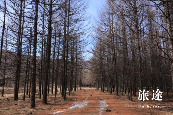 阿尔山几月份去最好,选什么方式旅游最好玩