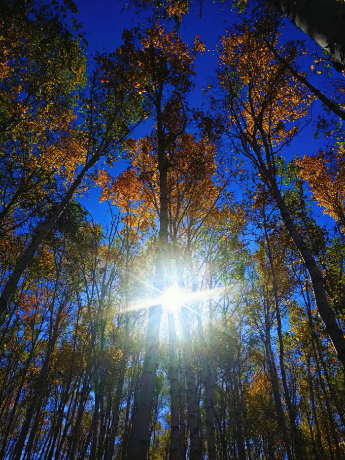 阿尔山几月份去最好,选什么方式旅游最好玩